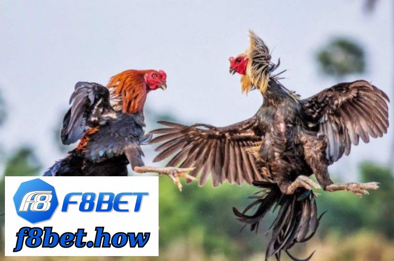 Khám phá trò chơi hấp dẫn cùng 868vip: Tải xuống FIFA Online 4 ngay hôm nay!
